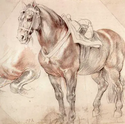 Etude of Horse Peter Paul Rubens